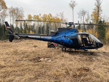 Load image into Gallery viewer, Moose Hunt