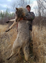 Load image into Gallery viewer, Timber wolf in Northern Alberta