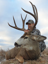 Load image into Gallery viewer, Mule Deer Rut Hunt