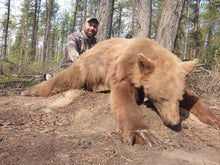 Load image into Gallery viewer, 7 feet square hide blonde bear