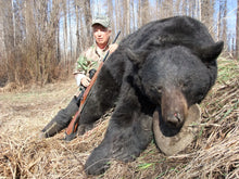 Load image into Gallery viewer, Boone & Crockett Black Bear