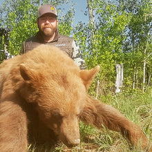 Load image into Gallery viewer, Available Black Bear Draw