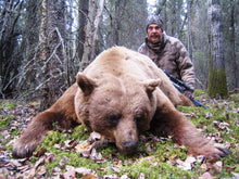 Load image into Gallery viewer, Color Phase Pope and Young bear