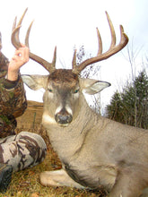 Load image into Gallery viewer, Archery Trophy Whitetail Deer