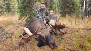 Trophy moose of a lifetime