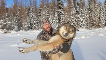 Load image into Gallery viewer, Alberta Timber Wolf