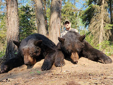 Load image into Gallery viewer, 2 giant black bears at 7-footer bearcamp