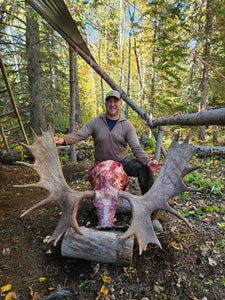 Moose Hunt