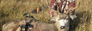 Whitetail Deer Bow hunting in Alberta Foothills