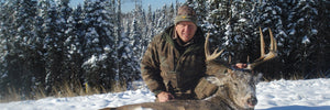 Beautiful Trophy Whitetail Deer in the foothills of the Rockies during the rut in November