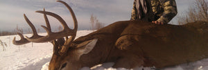 Whitetail Deer Rut Hunts happen in November