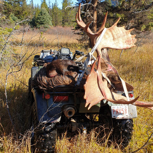 There is nothing like moose hunting in Alberta