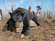 Load image into Gallery viewer, 7.5 foot pope and young black bear