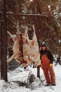Last west outfitting wolf hunt in Alberta