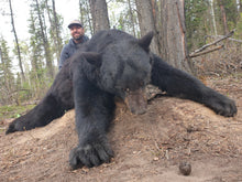 Load image into Gallery viewer, Trophy Black Bear hunting with Last West Outfitting