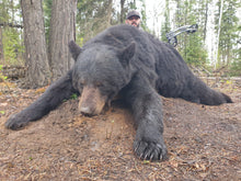 Load image into Gallery viewer, Best archery blsck bear ever