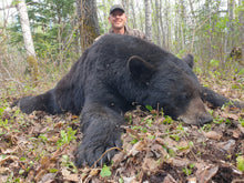 Load image into Gallery viewer, 7&#39;6&quot; square hide Trophy Black Bear