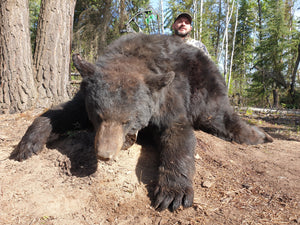 Last West Outfitting Trophy Black Bear Camp