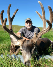 Load image into Gallery viewer, Pope &amp; Young mule deer harvested in Velvet