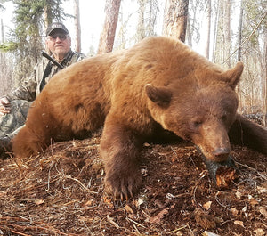 Alberta Black Bear Bow Hunting