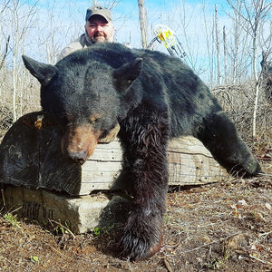 Black Bear Archery Trophy Hunt