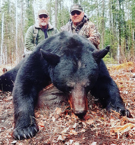 Canadian Black Bear Hunt
