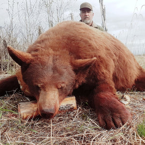 Alberta Black Bear Archery Hunt